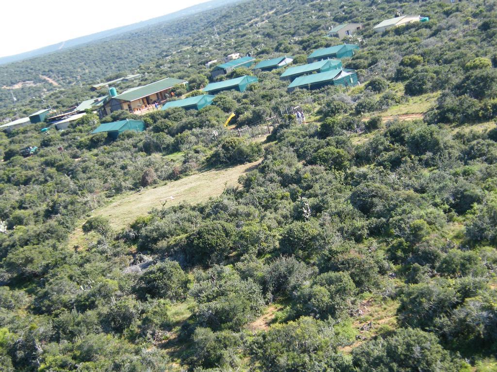Kudu Ridge Game Lodge Аддо Экстерьер фото
