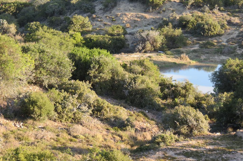 Kudu Ridge Game Lodge Аддо Экстерьер фото