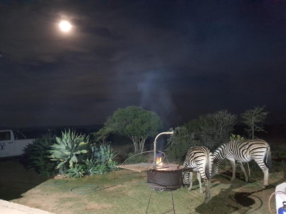 Kudu Ridge Game Lodge Аддо Экстерьер фото