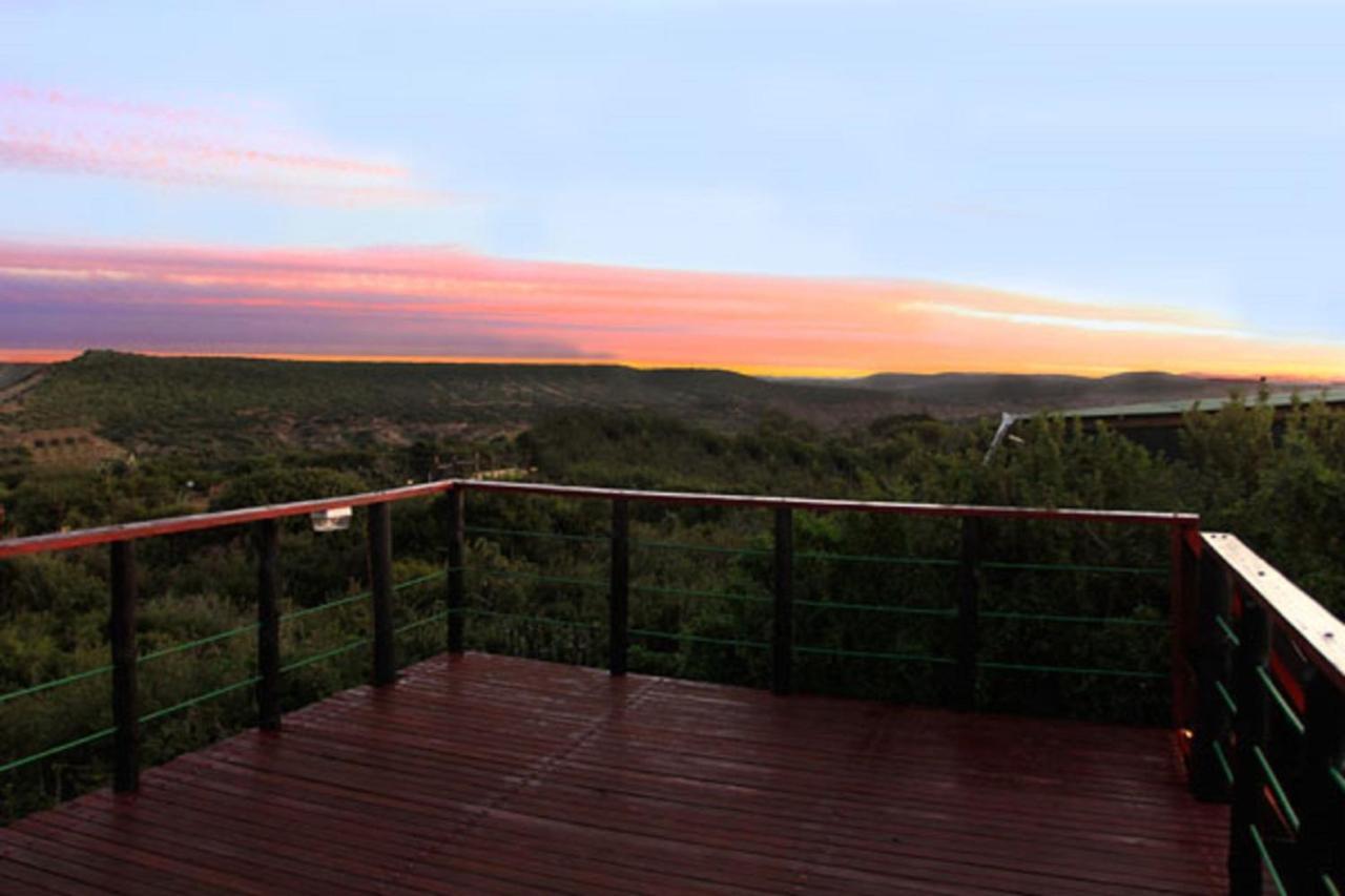 Kudu Ridge Game Lodge Аддо Экстерьер фото