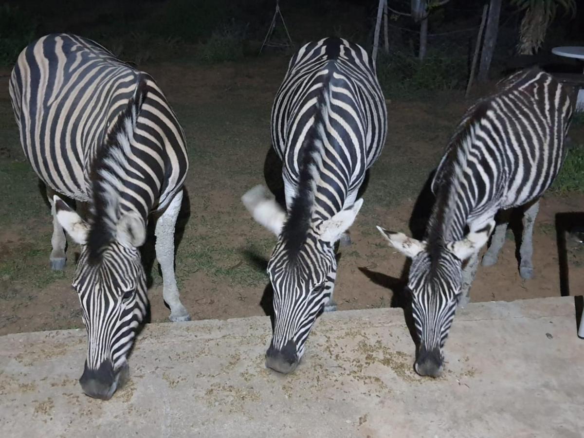 Kudu Ridge Game Lodge Аддо Экстерьер фото