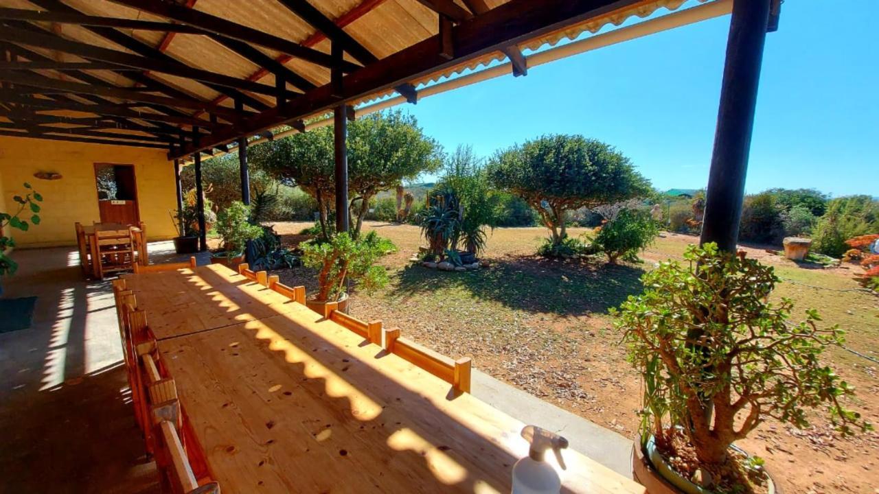 Kudu Ridge Game Lodge Аддо Экстерьер фото