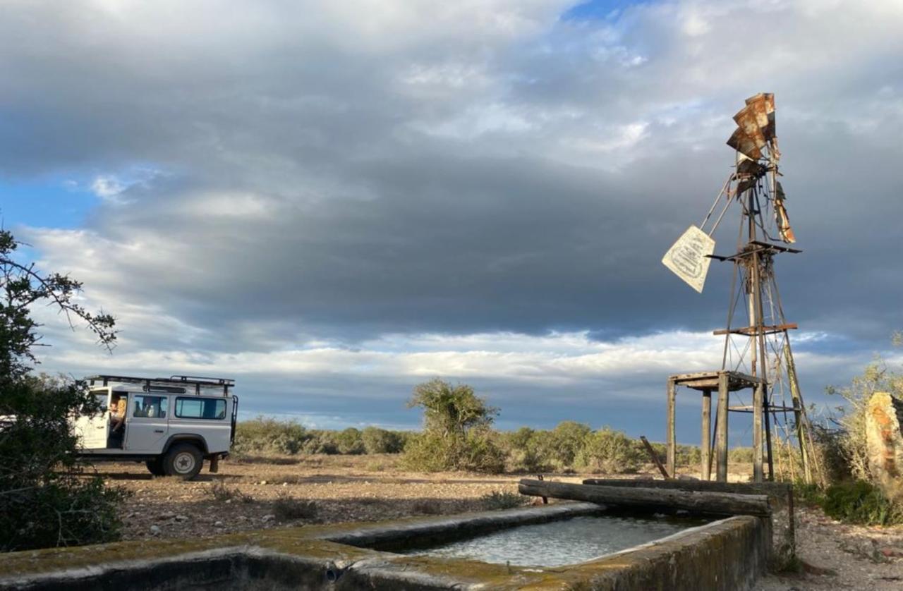Kudu Ridge Game Lodge Аддо Экстерьер фото