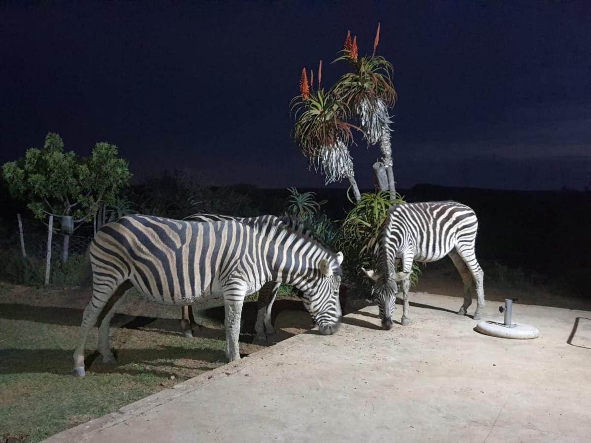 Kudu Ridge Game Lodge Аддо Экстерьер фото