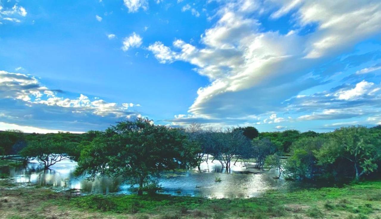Kudu Ridge Game Lodge Аддо Экстерьер фото