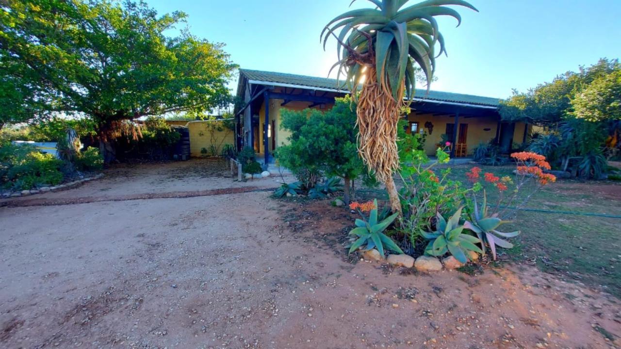 Kudu Ridge Game Lodge Аддо Экстерьер фото