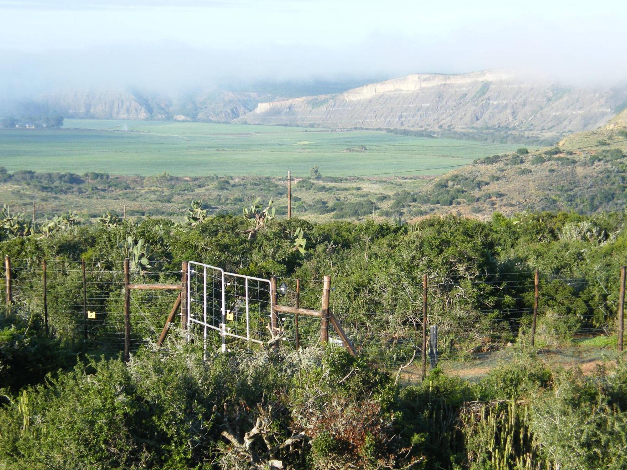 Kudu Ridge Game Lodge Аддо Экстерьер фото