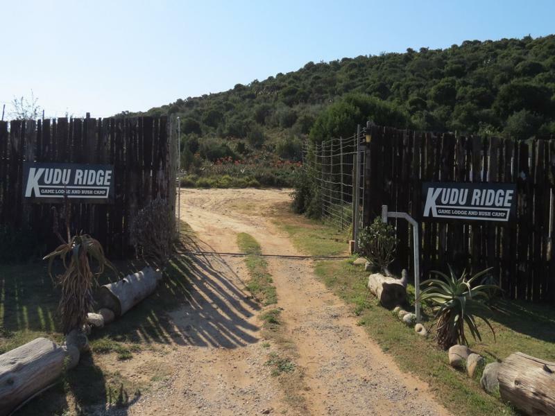Kudu Ridge Game Lodge Аддо Экстерьер фото